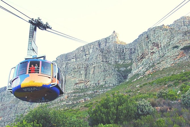 Nelson Mandela's Robben Island Prison Museum Cape Town City Tour + Ferry Tickets - Company Gardens: a Dutch East India Company refreshment stop from the 1650s