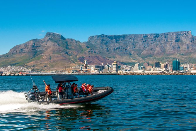 Ocean Safari - Key things to know before you go