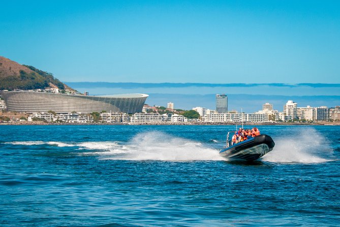 Ocean Safari - How the RIB ride feels: spray, movement, and rough-water reality
