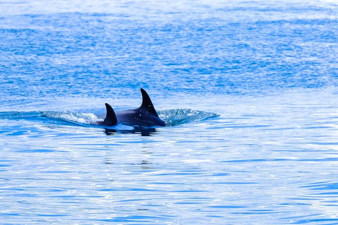 Ocean Safari - Comfort tips that make this safari smoother