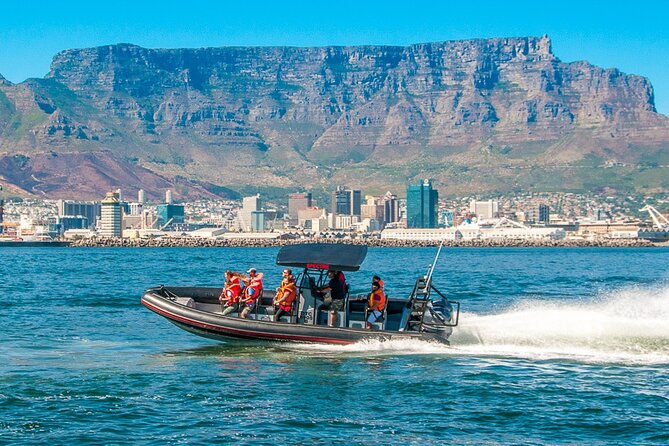 Ocean Safari - Price and value: is one hour worth $27.13?