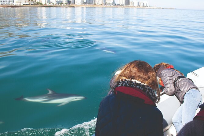 Ocean Wildlife Encounter in Cape Town - From Green Point, You’re On the Hunt Fast