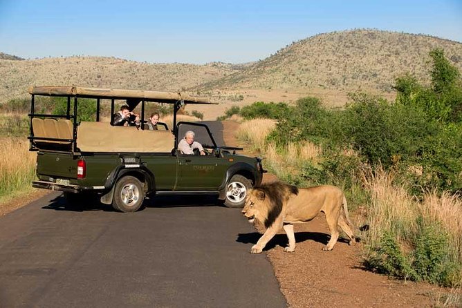 One day Safari including a 5 Hour Open Safari Vehicle Drive - The ride back to the gate: scanning for animals after lunch