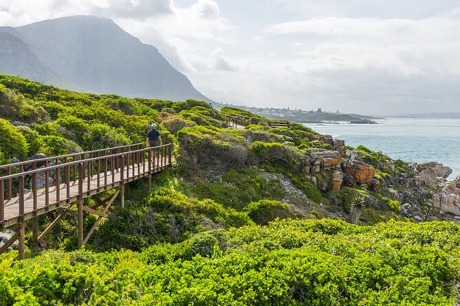 One-Way Hop-on Hop-off Bus from Cape Town to Port Elizabeth - Price and value: what $199 buys you
