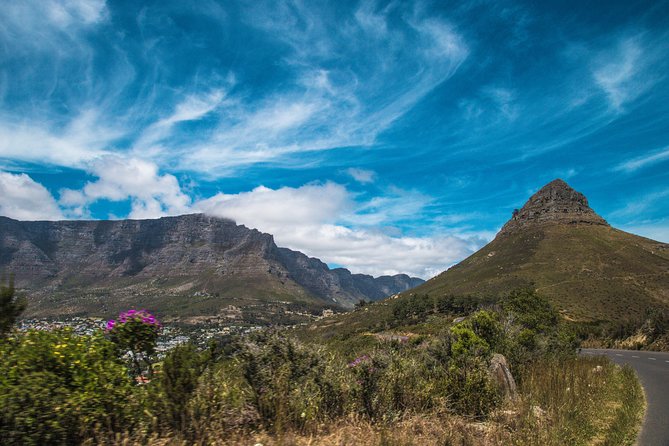 One-Way Hop-on Hop-off Bus from Port Elizabeth to Cape Town - Value for $199: Is This Price Fair?