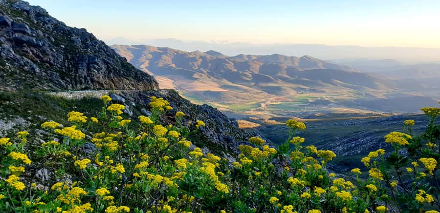 Oudtshoorn: Half-Day Swartberg Pass Private Guided Tour - Key takeaways before you go