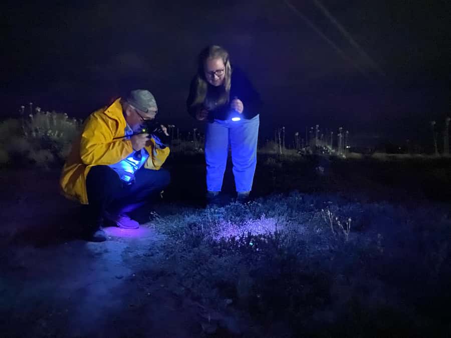 Oudtshoorn: Night Time Nature Walk - Key things I’d put on your checklist
