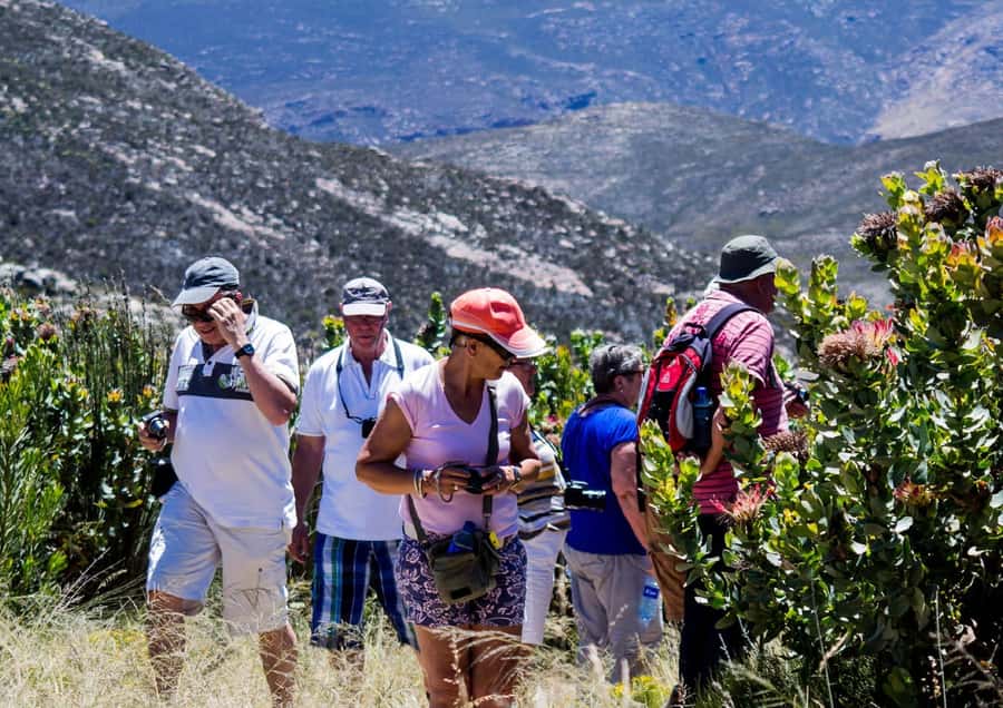 Oudtshoorn: Swartberg Mountain Pass Tour with Country Lunch - Swartberg Pass Views at 1,585 Metres Above Sea Level