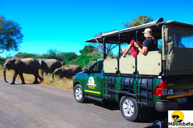Overnight Kruger National Park Classic Camping Safari - Quick Highlights Before You Go