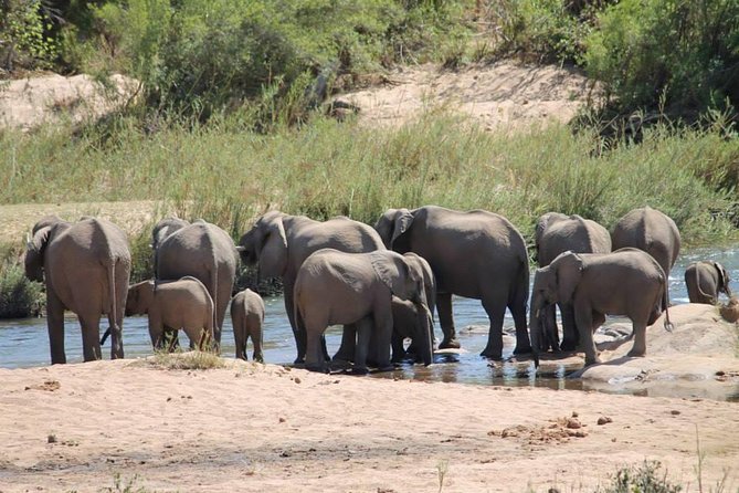 Overnight Kruger National Park Classic Camping Safari - Price and Value: What $216.44 Covers (and What Costs Extra)