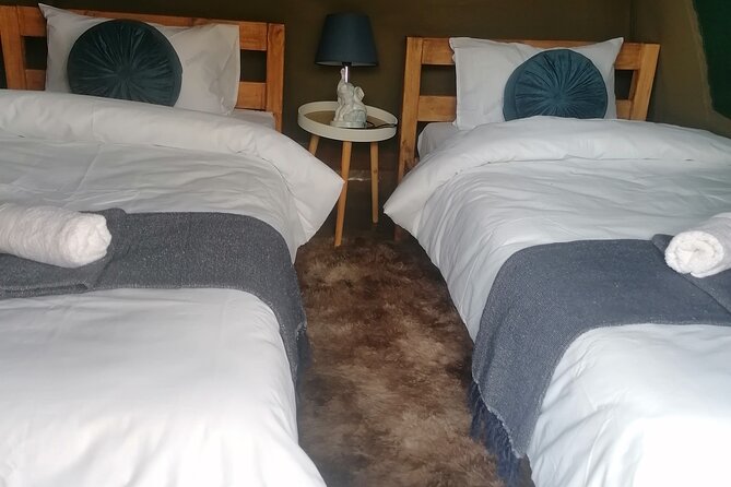 Overnight Kruger National Park Classic Camping Safari - Day 1 Game Drive and Tented Camp at Pretoriuskop