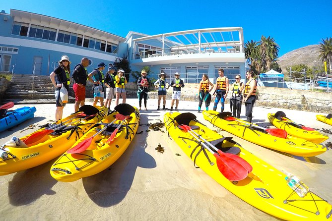 Paddle with the Penguins - Simon’s Town and the penguins: why paddling beats guessing