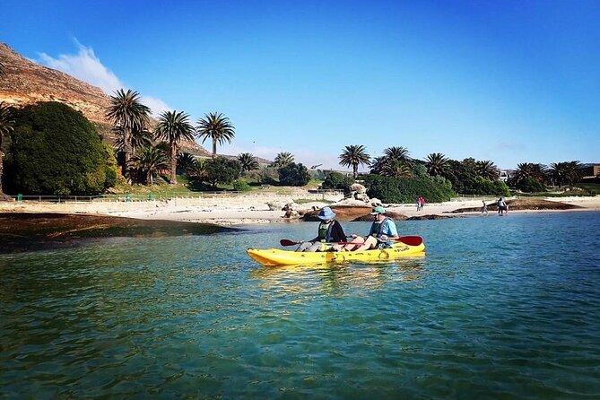 Paddle with the Penguins - Your kayak choice: singles, doubles, and the comfort factor