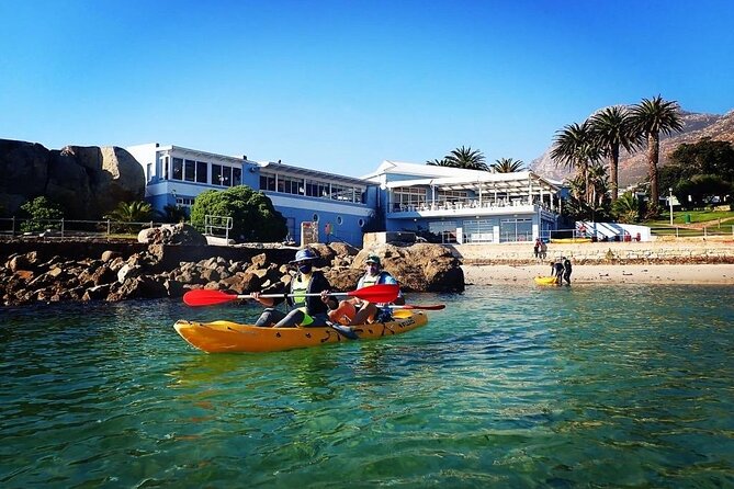 Paddle with the Penguins - Learning marine life while you paddle