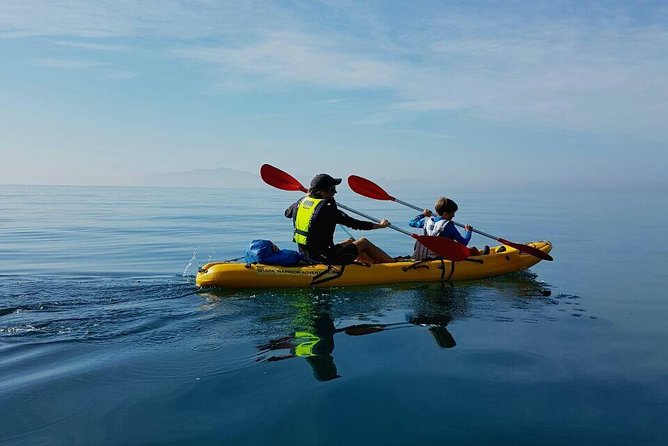 Paddle with the Penguins - Safety, wind, and comfort details that really matter