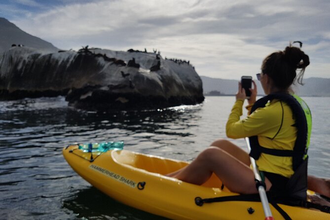 Paddle with the Penguins - How long it takes and what the day feels like