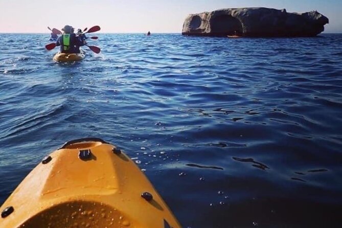 Paddle with the Penguins - Who should book Paddle with the Penguins