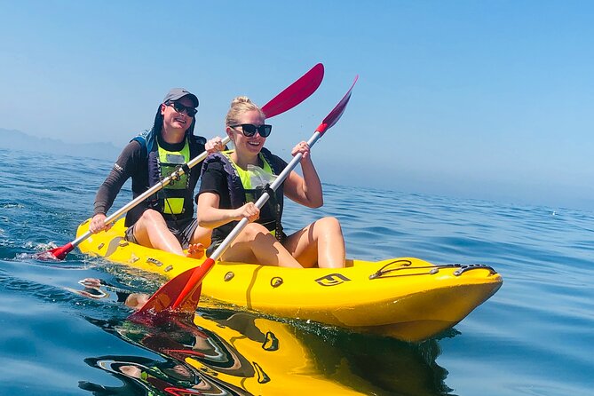 Paddle with the Penguins - From Shark Warrior Adventure Centre to open water