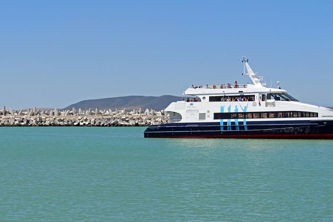 Path to Freedom: Apartheid & Township Tour with Private Transfers - Should you book Path to Freedom in Cape Town?