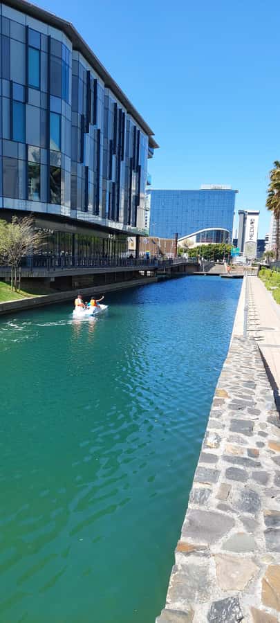 Pedal Boat Ride V&A Waterfront - Cape Town - V&A Waterfront Canal Setting: What You See on the Water