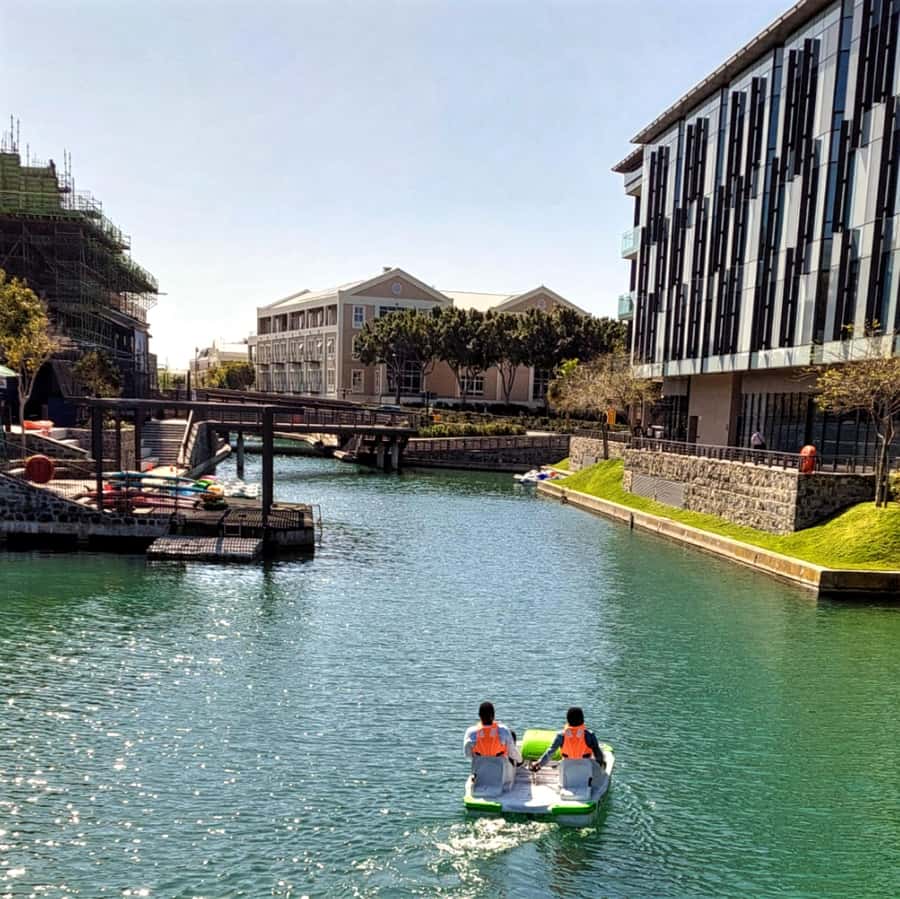 Pedal Boat Ride V&A Waterfront - Cape Town - Making the Most of Timing: Why Mid-Mornings Work