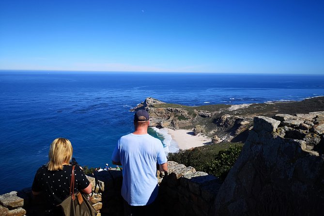 Penguin Time! Private Peninsula Experience. - Timing, Timing, Timing, and Why a Private Guide Helps