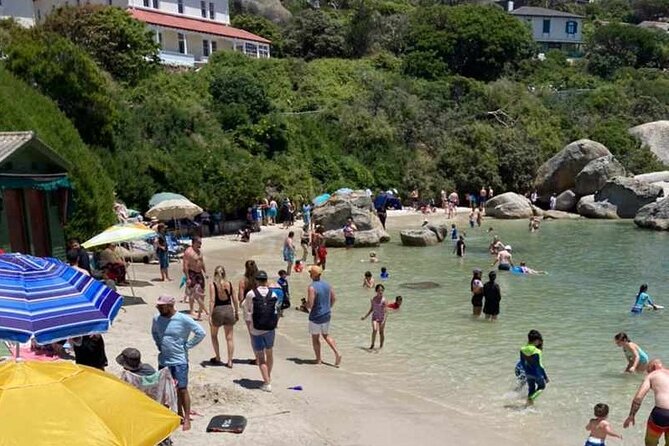Penguin Watching & Beach Day at Boulder's Beach, Cape Town - Noordhoek Farm Village for coffee and coastal views