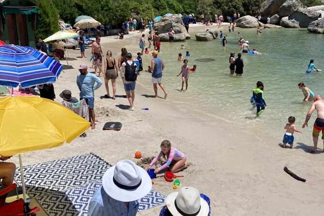 Penguin Watching & Beach Day at Boulder's Beach, Cape Town - Boulders Beach Penguin Colony: where the day turns magical