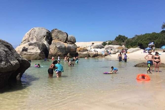 Penguin Watching & Beach Day at Boulder's Beach, Cape Town - Who this tour fits best, and who should skip it
