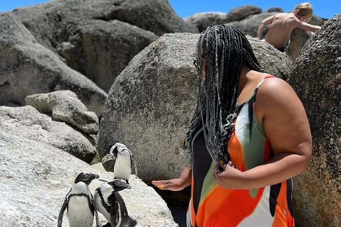 Penguin Watching & Beach Day at Boulder's Beach, Cape Town - False Bay coast, Simon’s Town area, and the Muizenberg beach huts