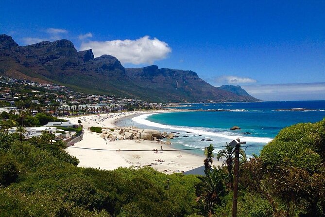 Penguins Cape of Good Hope, Cape Point Private Tour - Boulders Beach details you’ll actually want to plan for
