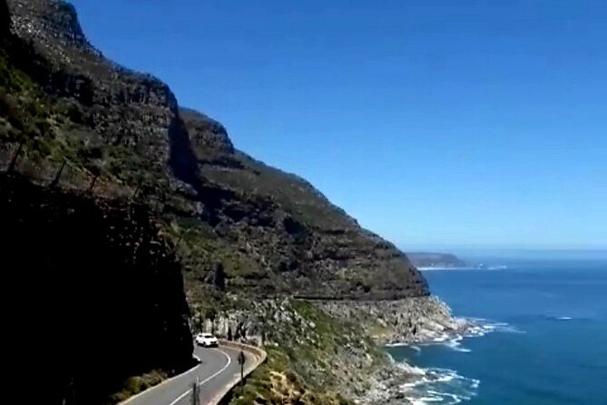 Penguins Cape of Good Hope, Cape Point Private Tour - Chapmans Peak Drive: the scenic road section that makes the trip feel special