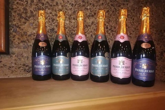 Penguins Viewing, Cape of Goodhope and Winelands Region - Price and what you are really buying for $172.42