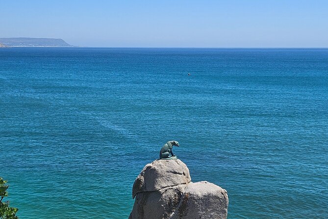 Peninsula Full Day Private Tour - Chapmans Peak Drive and the Atlantic Seaboard photo route