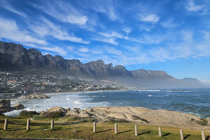Peninsula Full Day Private Tour - Hout Bay Harbour: markets, crafts, and fish and chips