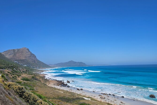 Peninsula Full Day Private Tour - Transportation, pacing, and what makes this tour feel worth it