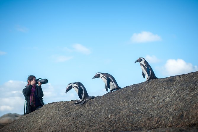 Peninsula Photography Tour - Private Cape Peninsula driving means no photo-stress
