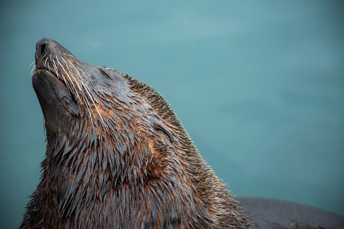 Peninsula Photography Tour - Epic coffee and pastry, plus the small comforts that keep you shooting