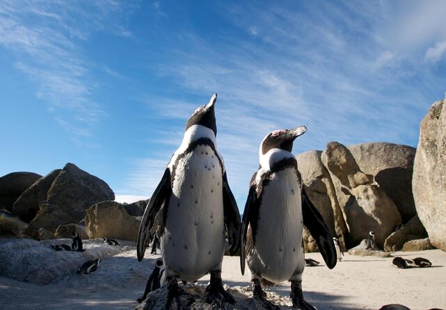 Peninsula Tour - Key things that make this Peninsula tour worth your time