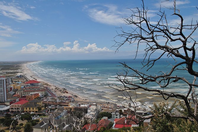 Peninsula Tour - Why this private Peninsula route feels effortless