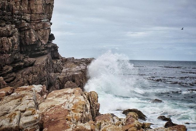 Peninsula Tour Cape Town - Jubilee Square and Simon’s Town: Crafts, Monuments, and Possible Lunch