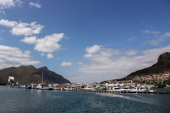 Peninsula Tour Cape Town - Chapman’s Peak Viewpoints and a Scenic Road That Does the Work
