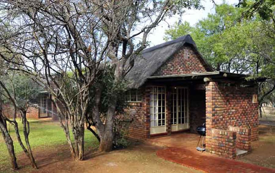 Pilanesberg: 2 Day 3-Star Pilanesberg Safari - Day 1: Johannesburg pickup, check-in, and an afternoon drive