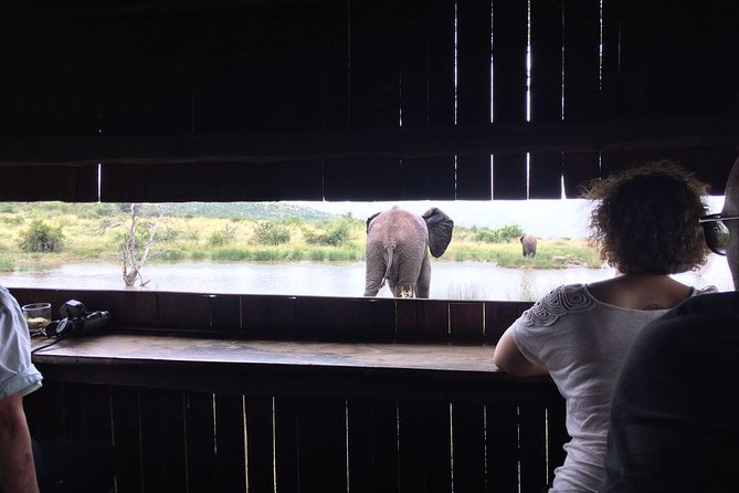 Pilanesberg camping Safari from Johannesburg - Price and value: what your $611.14 really buys