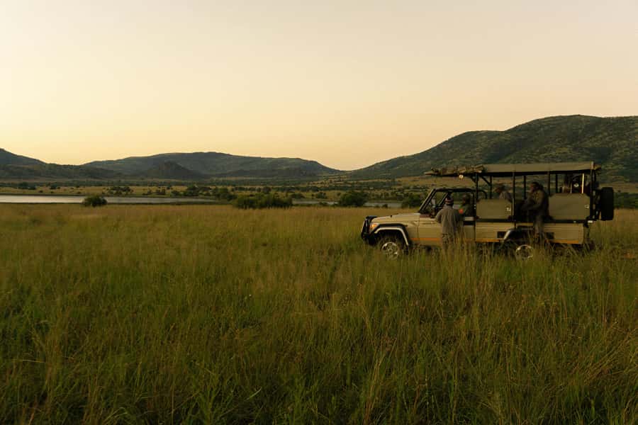 Pilanesberg: Full-Day Safari Adventure from Johannesburg - Key safari takeaways before you book