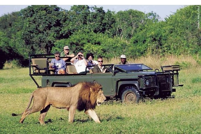 Pilanesberg full day safari private - Big Five in a private vehicle, starting with pickup in Johannesburg