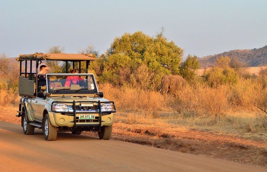 Pilanesberg Full-Day Shared Safari with Sun City Visit - From Johannesburg to Pilanesberg: Why That Early Start Matters