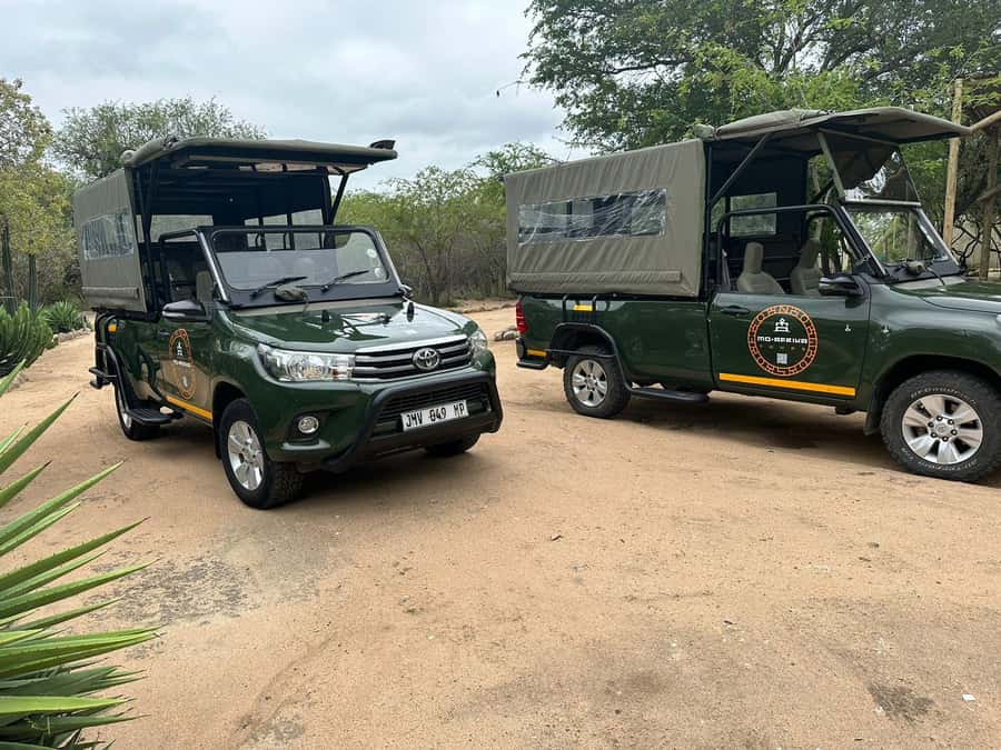 Pilanesberg Morning or Afternoon 3 Hour Game Drive - Price and the real value: $54 plus conservation fees