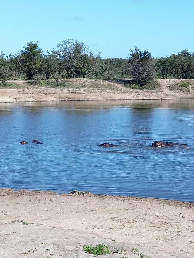 Pilanesberg National Park - Practical Tips to Make Your Day Smoother