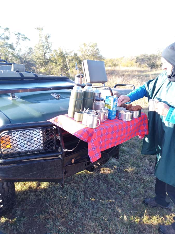Pilanesberg National Park - Who This Safari Is Best For (and Who Should Skip It)